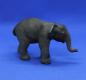Mobile Preview: Asiatisches Elefantenbaby 14343